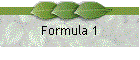 Formula 1
