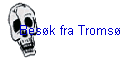 Bes�k fra Troms�