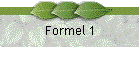 Formel 1