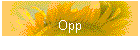 Opp
