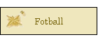 Fotball