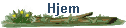 Hjem