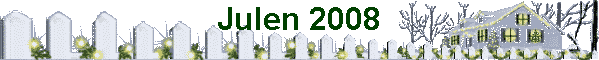 Julen 2008