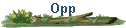Opp