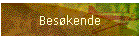 Bes�kende
