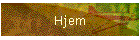 Hjem