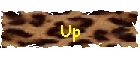 Up
